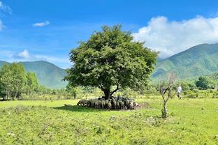 Tư thế đứng mang tính biểu tượng của người đàn ông trước khi ném phạt! Đã sớm đem kết quả tiết lộ!